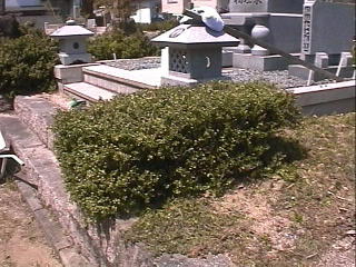 �l�̊��荞�݂͂ǂ��ł����H