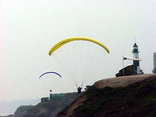 ���}�C�݂̊C���b�W�E�E�E�p���L�`��Y�͉����ɂ�����ȁ`