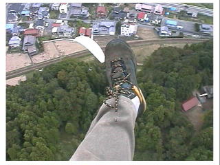 ����L�΂��āE�E�E�ǂ����I�I�I