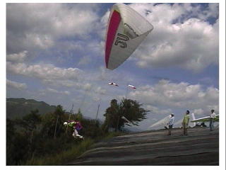 �͋����e�C�N�I�t�����[