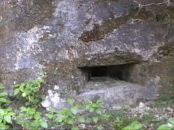 ���鏊�ɂ���g�[�`�J�e��