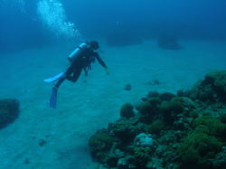 �P�Ɛ��s�o�������I