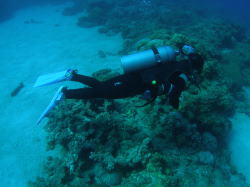 �����͗��������ĎX����������P