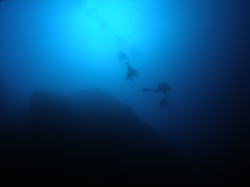 ���s�����_�C�o�[�̐���