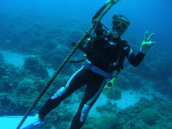 ���܂��C��܂Ő��������I