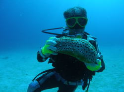 �ł����C�l�I