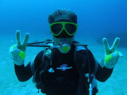 �S�O�N�ڂ̖��B���I