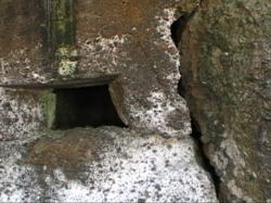 ���鏊�ɏe�Ⴊ�E�E�E