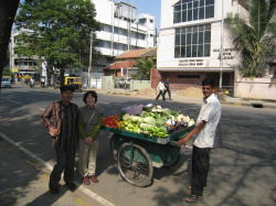 �ʕ�������