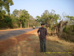 �ꉞ�����ł�����