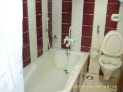 �g�C���̋߂��̏������V�����[�͂��K�p