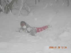 �������ɂȂ�̂��������āE�E