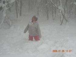 ���������Đ���E�E�E�@