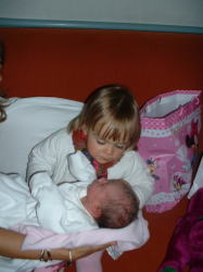 �����i�\�t�B�A�j�Ǝ����i�o�����e�B�[�i�j