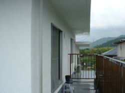 �Q�K�����͓h�������B���ߏ��͔��������Ă���ƌ����ĉ�����