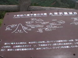 �������̑�[��W�]��