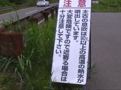 ���H�H���̂悤�ȊŔ�