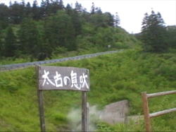 �������菑���̊Ŕ�