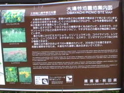 ���J�n���n�̈ē���