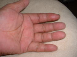 �l�����w�̐�[�ׂ͍��Ȃ��Ă��܂���