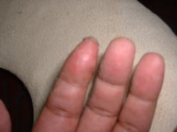 �l�����w�̐�[�ׂ͍��Ȃ��Ă��܂���