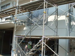 ��������g�񂾑���