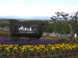 ����Ԃ̋u�̉Ԕ�