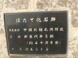 ����ӂ��̓��̉w�����������΂̊��