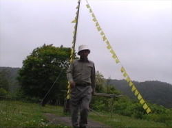 ���F���n���J�`��w�i�ɁE�E�E