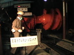 �ؒ[�̐�͖{���̐ΒY�w