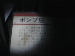 �Â��B�����w�b�h�����v�Ō��ĉ��