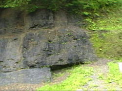 �����̐ΒY�̑�I��