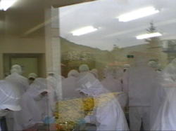 �����̗]�n�������قǂ̍�ƌ���