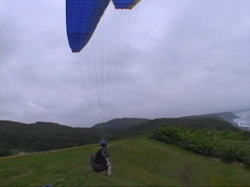 �V�΂��Ă��炤�s�ǂ��₶