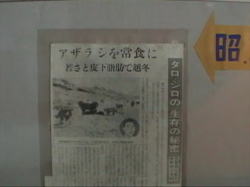 �^���ƃW���̐�����`���铖���̐V��