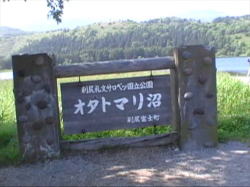 ���K����������Ȃ���