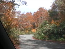 �g�t�͌͗t���ڗ���