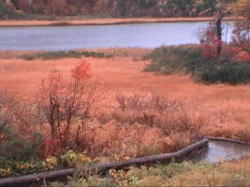 ����������̑����݂�