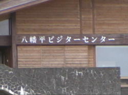 �������r�W�l�X�Z���^�[�͑O��悭����