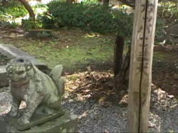 �͓������̑��͂��낢��L���������ꂪ�{��