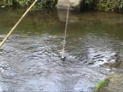 ���イ��͎d�|�����Ă��邪���H�������E�E�E