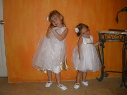 ����������̖��̃\�t�B�A�i�o�j�ƃo�����e�B�[�i�i���j