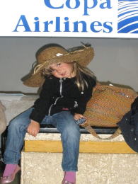 ���̃\�t�B�A�i�o�j