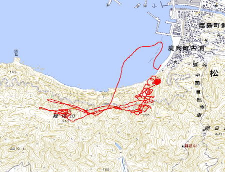 �C�̏�ɂ��s���Ă݂�