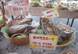 �I�y���X�l�[�N�A�r�G�m���[�Y�V���R���A���݃p��