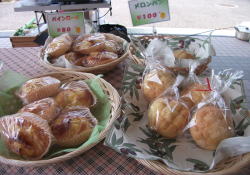 �������p���A�p�C�����[��