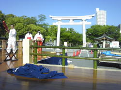 �ޏ��������������Ă���