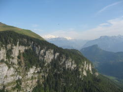 �~�E�V�[�̑�ݕ�