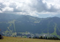 �����V�F���[�̃e�C�N�I�t�B�_��͒Ⴂ