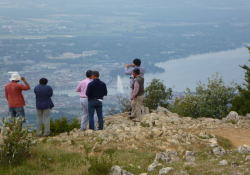 �S���h���w�߂����烌�}���΂�]�ށB�啬����������